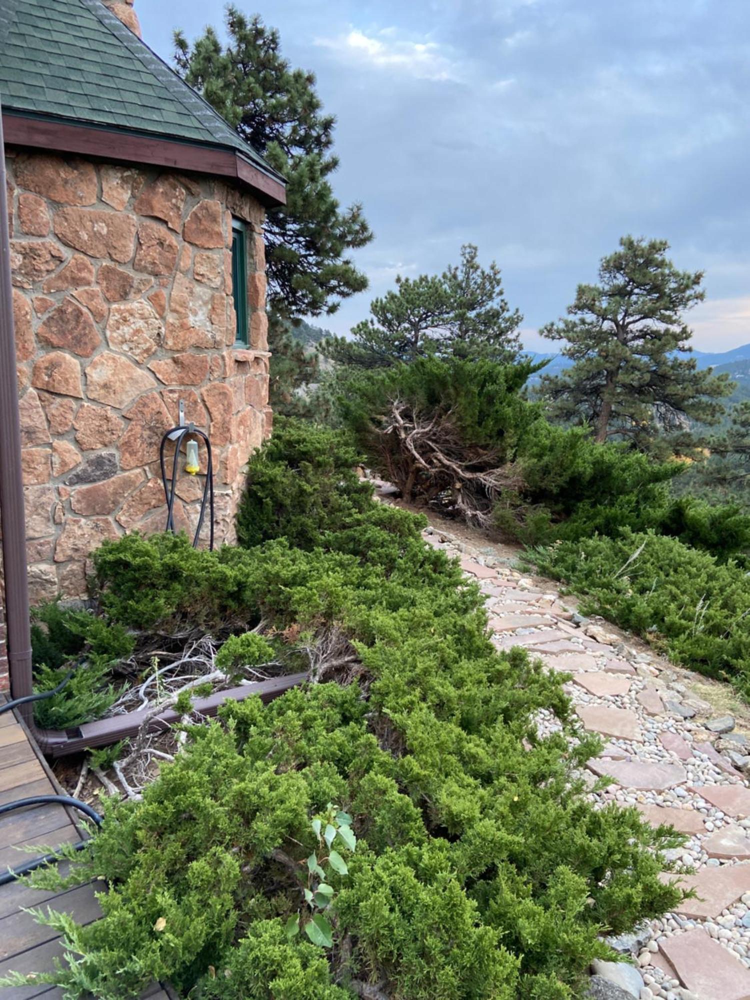 Colorado Bed & Breakfast With Beautiful Views 常青城 外观 照片