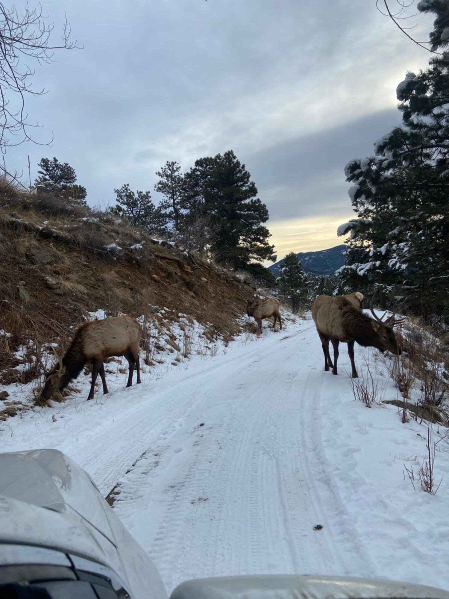 Colorado Bed & Breakfast With Beautiful Views 常青城 外观 照片